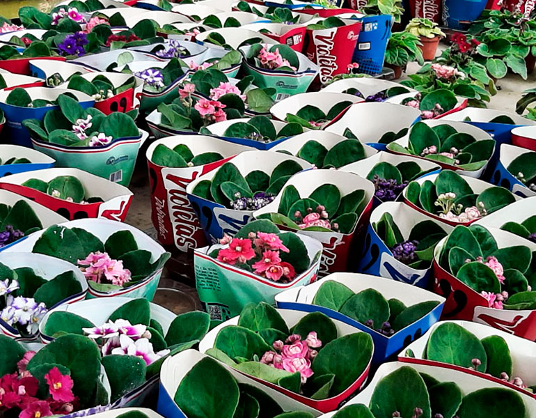 Especial San Valentín - Vivero Musacco