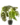 EasyPlant_13-38-319145
