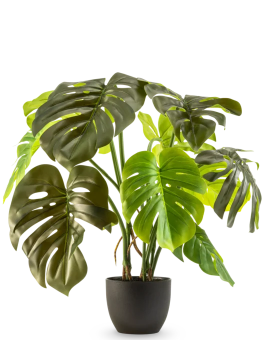 Monstera artificial 50 cm