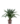 EasyPlants_11-16-321220