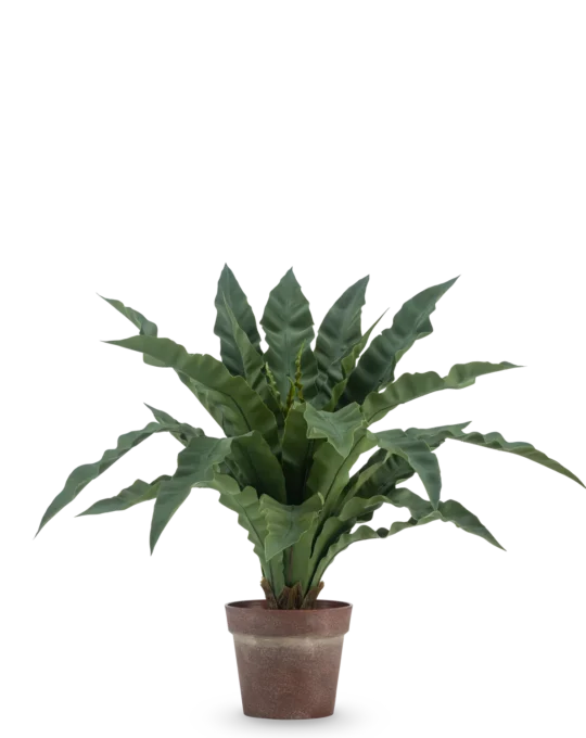 Helecho artificial 61 cm