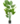 Easy_Plants_09-43-319096