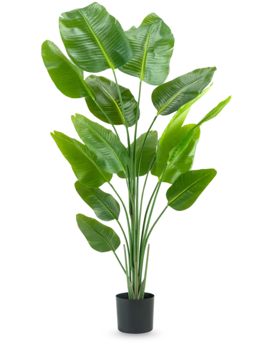 Ave del Paraiso (Strelitzia) tacto real 180 cm