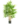 Easy_Plants_09-58-335042