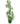 Easyplants_16-103