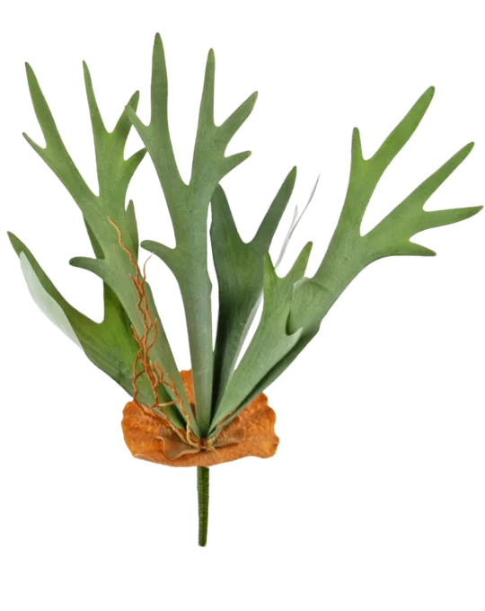 Planta artificial Staghorn 53 cm