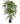 output_af163474-cb00-4a90-b5fb-db30b3f5745b