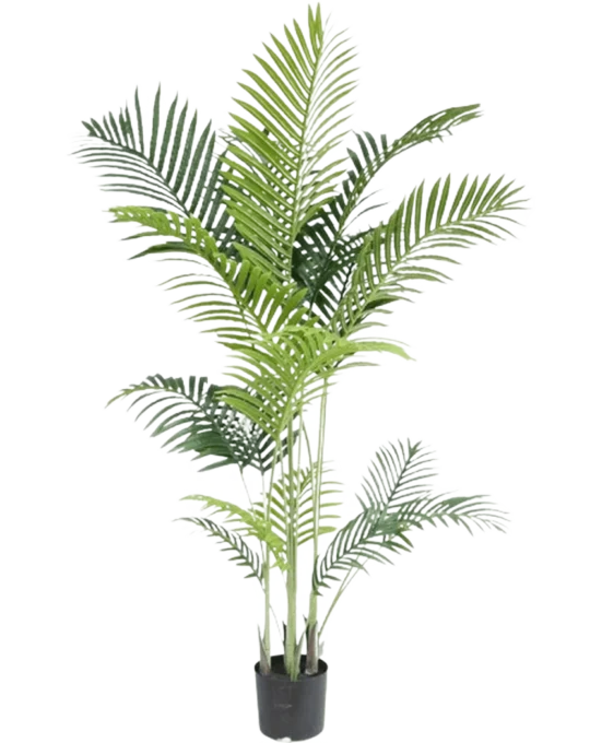 Palmera Datilera artificial 170 cm