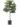EasyPlant_13-20-319029
